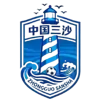 三沙队