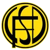 弗朗德里亚后备队